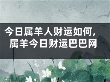 今日属羊人财运如何,属羊今日财运巴巴网