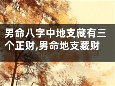 男命八字中地支藏有三个正财,男命地支藏财