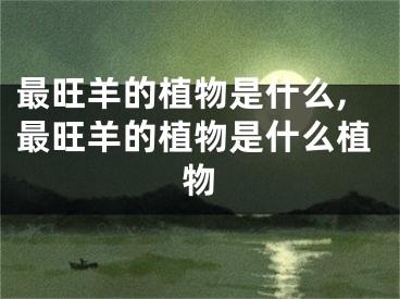 最旺羊的植物是什么,最旺羊的植物是什么植物