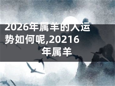 2026年属羊的人运势如何呢,20216年属羊