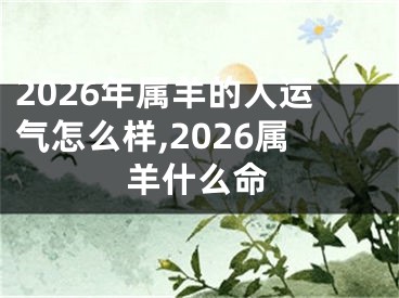 2026年属羊的人运气怎么样,2026属羊什么命