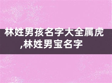 林姓男孩名字大全属虎,林姓男宝名字