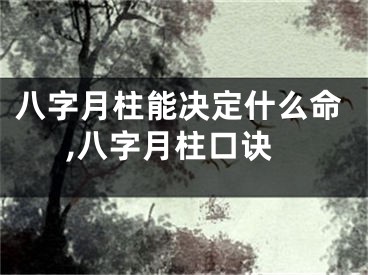 八字月柱能决定什么命,八字月柱口诀