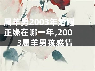 属羊男2003年婚姻正缘在哪一年,2003属羊男孩感情