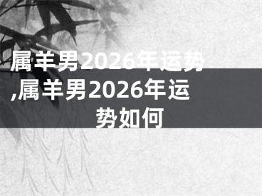 属羊男2026年运势,属羊男2026年运势如何