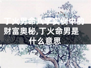 丁火男命八字实例中的财富奥秘,丁火命男是什么意思