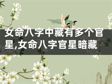 女命八字中藏有多个官星,女命八字官星暗藏