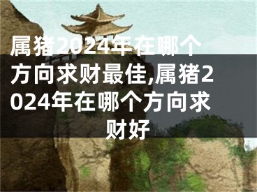 属猪2024年在哪个方向求财最佳,属猪2024年在哪个方向求财好