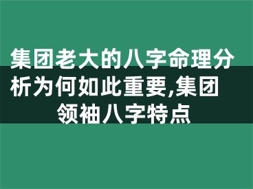 集团老大的八字命理分析为何如此重要,集团领袖八字特点