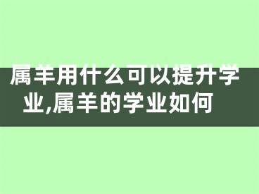 属羊用什么可以提升学业,属羊的学业如何