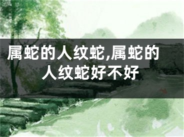 属蛇的人纹蛇,属蛇的人纹蛇好不好