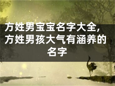方姓男宝宝名字大全,方姓男孩大气有涵养的名字