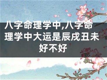八字命理学中,八字命理学中大运是辰戌丑未好不好
