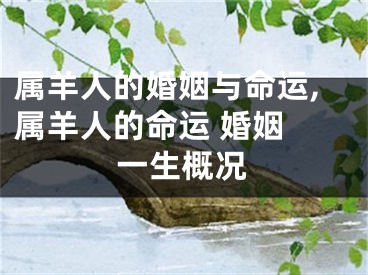 属羊人的婚姻与命运,属羊人的命运 婚姻 一生概况