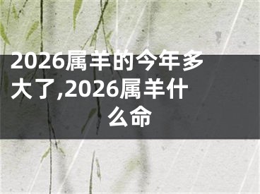 2026属羊的今年多大了,2026属羊什么命