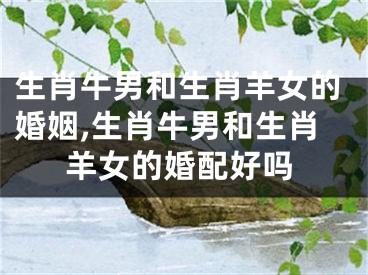 生肖牛男和生肖羊女的婚姻,生肖牛男和生肖羊女的婚配好吗