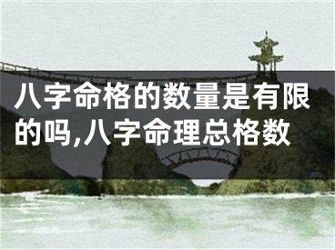 八字命格的数量是有限的吗,八字命理总格数