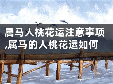 属马人桃花运注意事项,属马的人桃花运如何