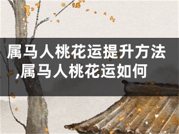 属马人桃花运提升方法,属马人桃花运如何