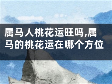 属马人桃花运旺吗,属马的桃花运在哪个方位