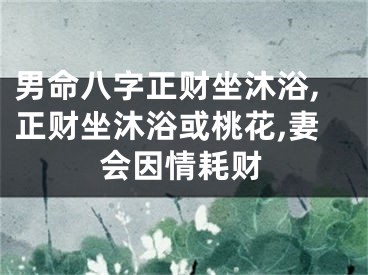 男命八字正财坐沐浴,正财坐沐浴或桃花,妻会因情耗财