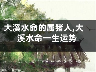 大溪水命的属猪人,大溪水命一生运势