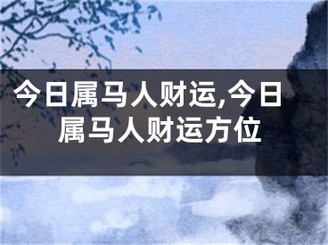 今日属马人财运,今日属马人财运方位