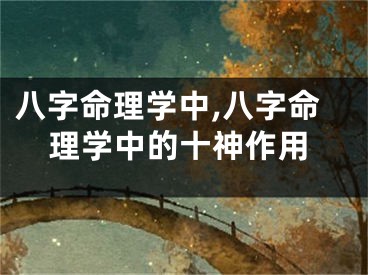 八字命理学中,八字命理学中的十神作用