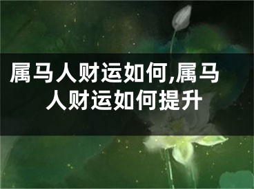 属马人财运如何,属马人财运如何提升