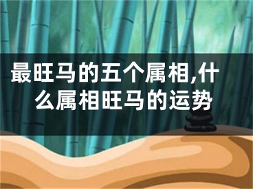 最旺马的五个属相,什么属相旺马的运势