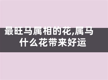 最旺马属相的花,属马什么花带来好运