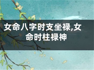 女命八字时支坐禄,女命时柱禄神