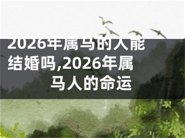 2026年属马的人能结婚吗,2026年属马人的命运