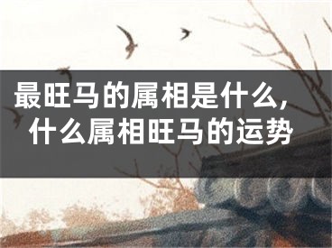 最旺马的属相是什么,什么属相旺马的运势