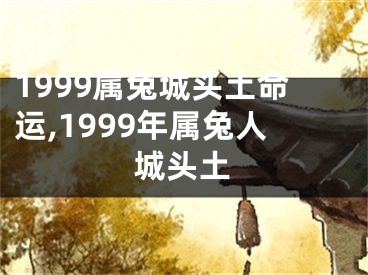 1999属兔城头土命运,1999年属兔人城头土