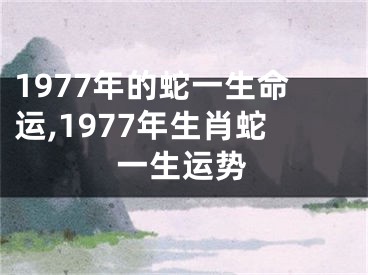 1977年的蛇一生命运,1977年生肖蛇一生运势