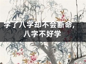 学了八字却不会断命,八字不好学