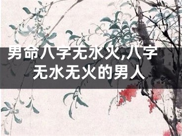 男命八字无水火,八字无水无火的男人