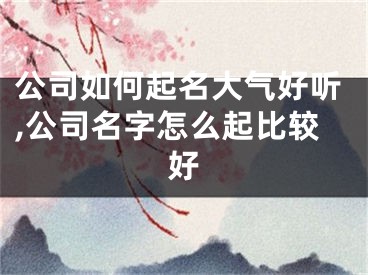 公司如何起名大气好听,公司名字怎么起比较好