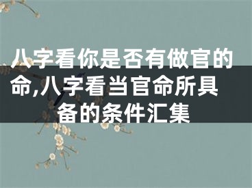 八字看你是否有做官的命,八字看当官命所具备的条件汇集
