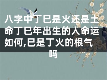 八字中丁巳是火还是土命丁巳年出生的人命运如何,巳是丁火的根气吗