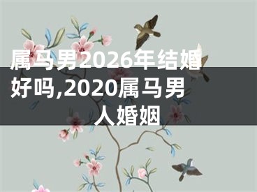 属马男2026年结婚好吗,2020属马男人婚姻