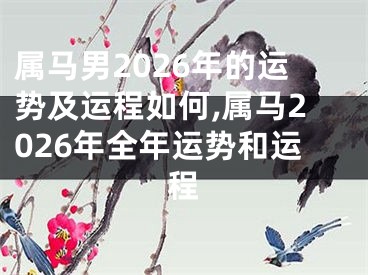 属马男2026年的运势及运程如何,属马2026年全年运势和运程