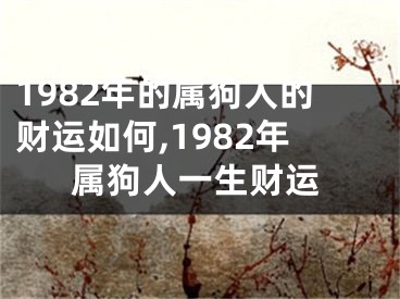 1982年的属狗人的财运如何,1982年属狗人一生财运