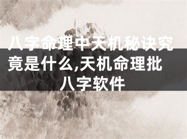 八字命理中天机秘诀究竟是什么,天机命理批八字软件