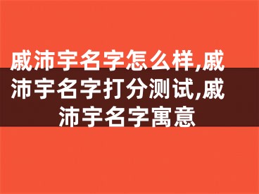 戚沛宇名字怎么样,戚沛宇名字打分测试,戚沛宇名字寓意