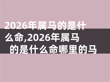 2026年属马的是什么命,2026年属马的是什么命哪里的马