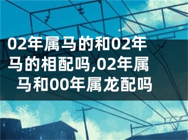 02年属马的和02年马的相配吗,02年属马和00年属龙配吗