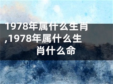 1978年属什么生肖,1978年属什么生肖什么命