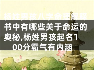 杨姓男孩八字命理解释书中有哪些关于命运的奥秘,杨姓男孩起名100分霸气有内涵